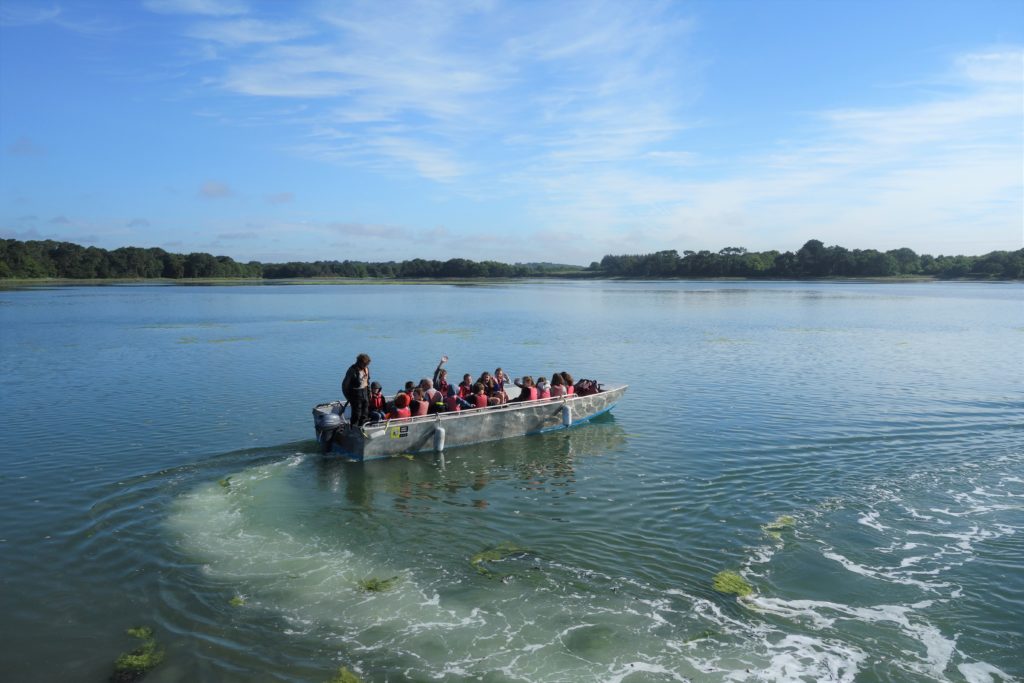 Roquerno Estuaire